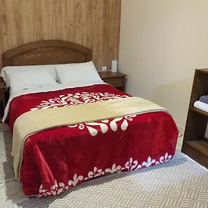 https://araucaria.essaouirahotels.net